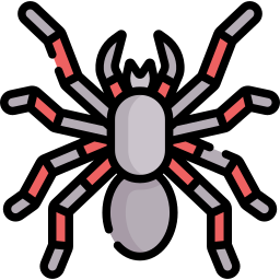 Tarantula icon