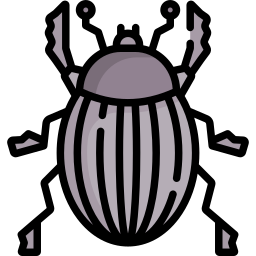 chrząszcz ikona