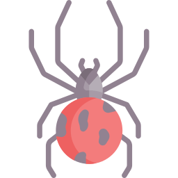 aranha Ícone