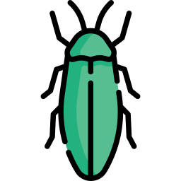 Insect icon