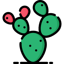 Prickly pear icon