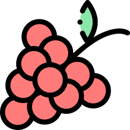 trauben icon