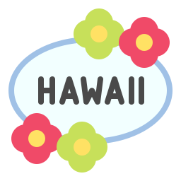 hawaii icon