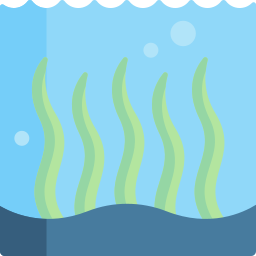 Algas marinas icono