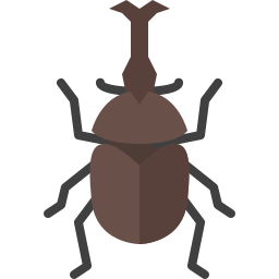 escarabajo rinoceronte icono