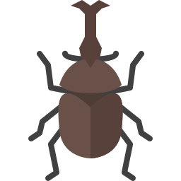 scarabeo rinoceronte icona