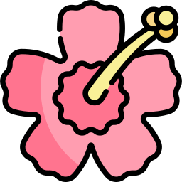 Hibiscus icon