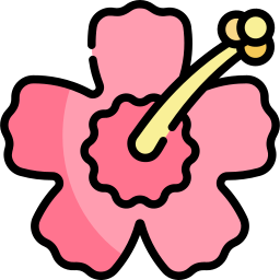 hibiskus icon