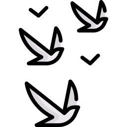 pássaros Ícone