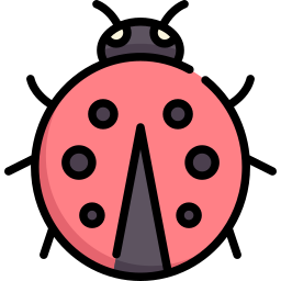 coccinelle Icône