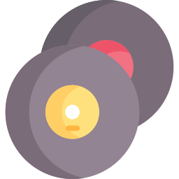 Vinyl icon