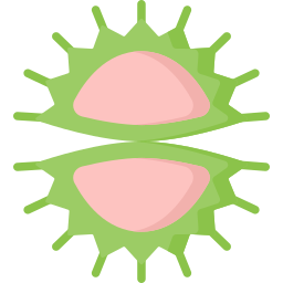 pianta carnivora icona