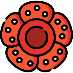 rafflesia icon