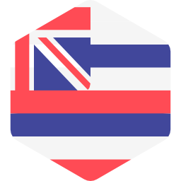 hawaii icon