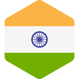 인도 icon