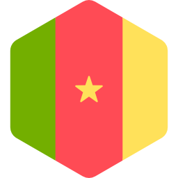 kamerun icon