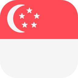 싱가포르 icon