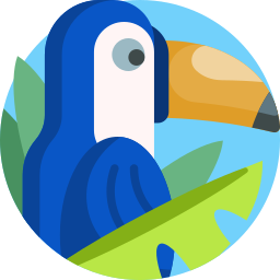 Toucan icon