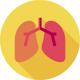 Lungs icon