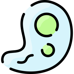 ameba icono