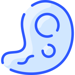 ameba icona