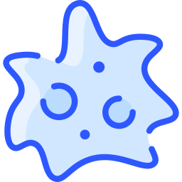 ameba icona