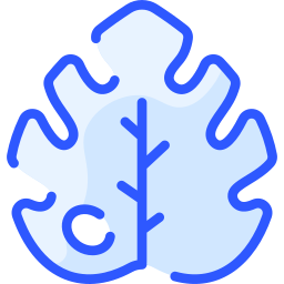 Leaf icon