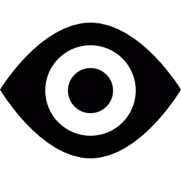 ojo negro icono