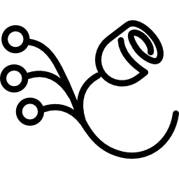 つぼみのあるバラ icon