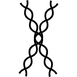 DNA strands outline icon