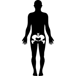 parte del cuerpo humano de las caderas icono