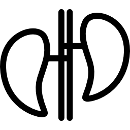 Internal human organs couple icon