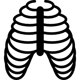 Human ribs bones icon