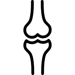 무릎의 공 icon