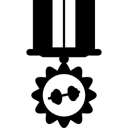 Medal hanging of an elegant ribbon icon
