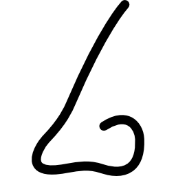 Male nose shape of a line icon