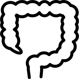 Large intestine outline icon