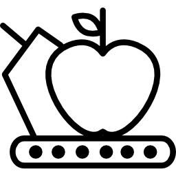 Fruit diet icon