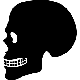 silhouette vue côté crâne humain Icône
