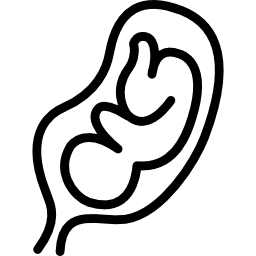 feto in un utero icona