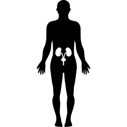 menschliche hüftknochen innerhalb einer stehenden männlichen silhouette des männlichen körpers icon