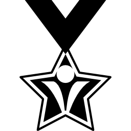Star medal hanging of a ribbon icon