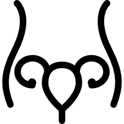 utérus et trompe de fallope à l'intérieur du contour du corps de la femme Icône