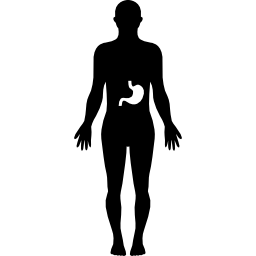 Stomach inside human body icon