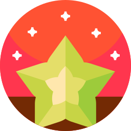 fruta estrella icono