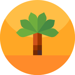 Palm tree icon