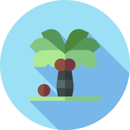 palmera icono