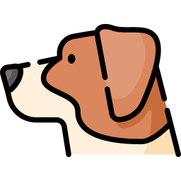 jack russell terrier icon