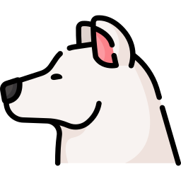 北海道犬 icon