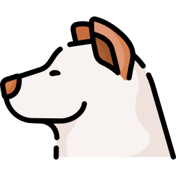 紀州犬 icon